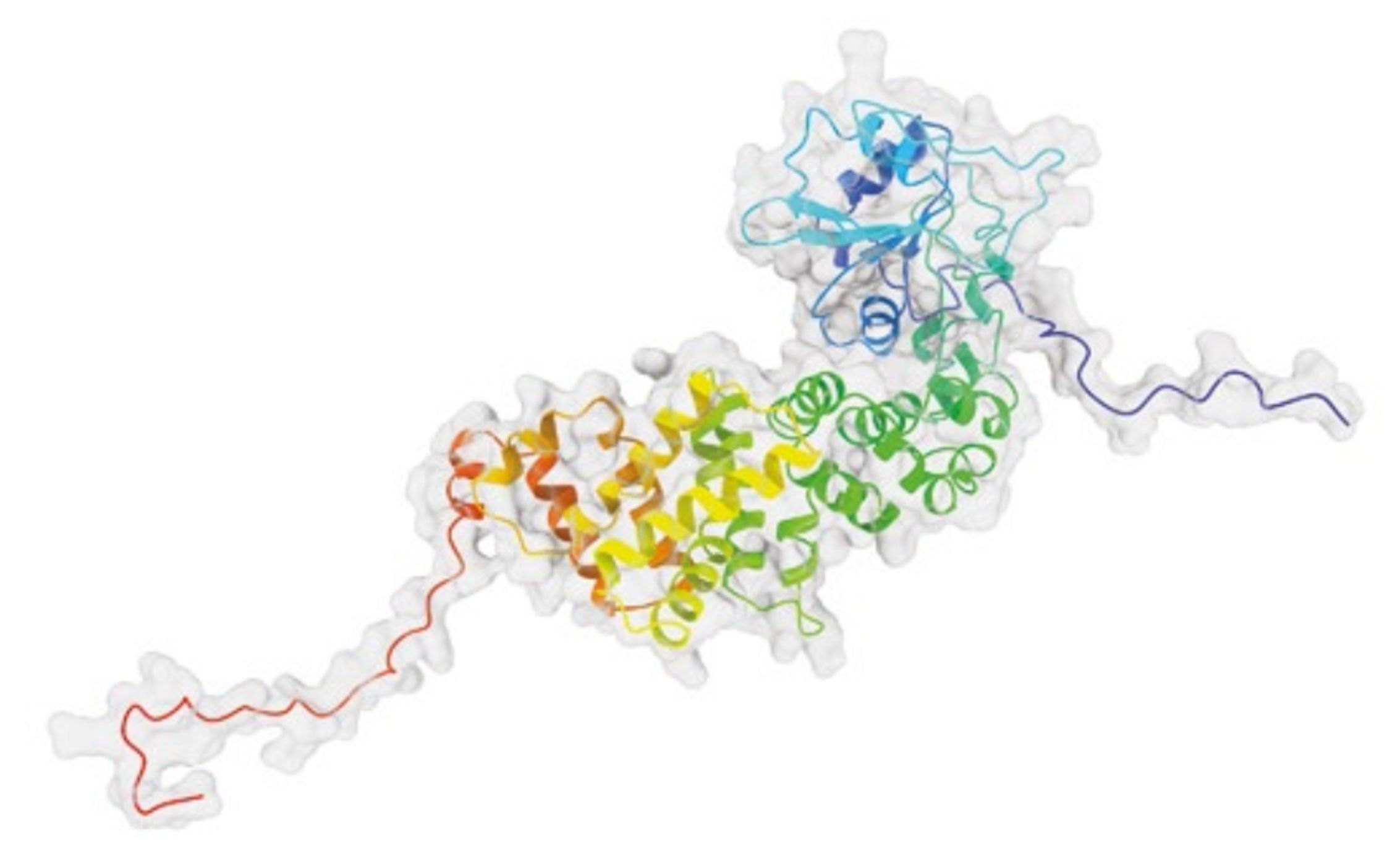Infectious viral protein